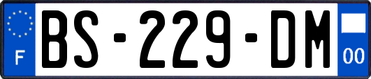 BS-229-DM