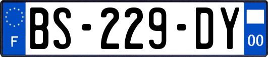 BS-229-DY