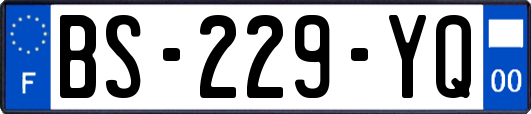 BS-229-YQ