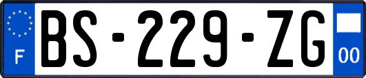 BS-229-ZG