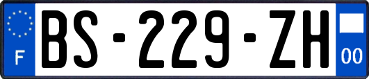 BS-229-ZH