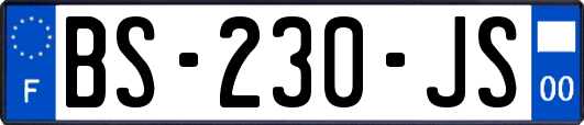 BS-230-JS