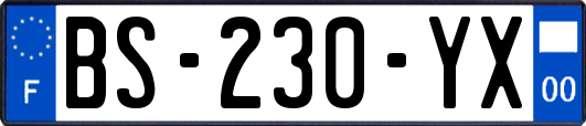 BS-230-YX