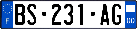 BS-231-AG