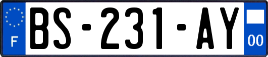 BS-231-AY