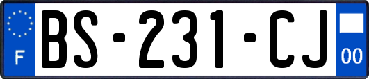 BS-231-CJ