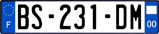 BS-231-DM