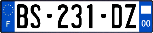 BS-231-DZ