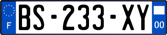 BS-233-XY