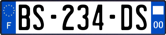 BS-234-DS