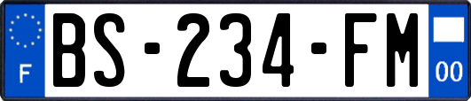 BS-234-FM