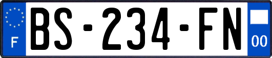 BS-234-FN