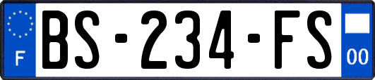 BS-234-FS