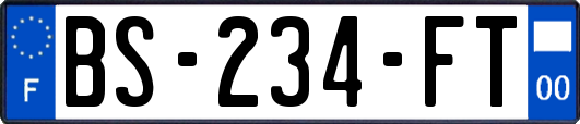 BS-234-FT