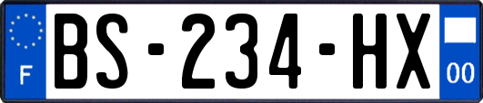 BS-234-HX