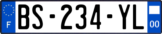 BS-234-YL