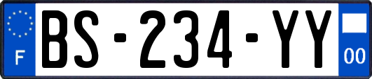BS-234-YY