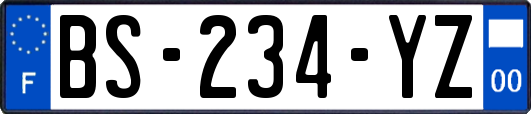 BS-234-YZ