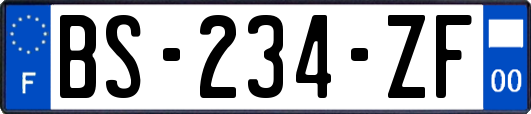 BS-234-ZF