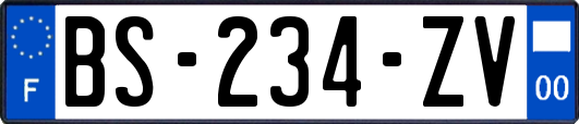 BS-234-ZV
