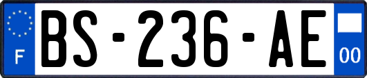 BS-236-AE