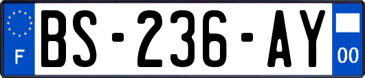 BS-236-AY