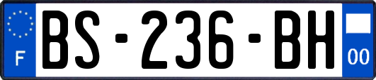 BS-236-BH