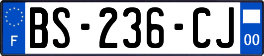 BS-236-CJ