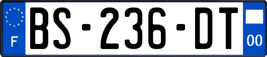 BS-236-DT