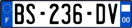 BS-236-DV