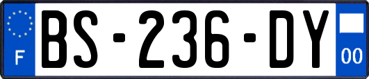 BS-236-DY