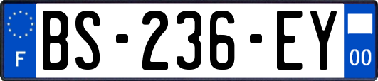 BS-236-EY