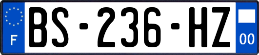 BS-236-HZ