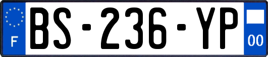 BS-236-YP