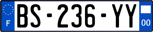 BS-236-YY