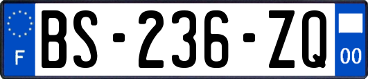 BS-236-ZQ