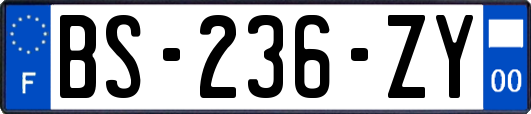 BS-236-ZY