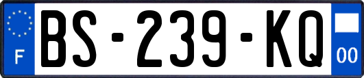 BS-239-KQ