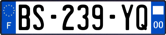 BS-239-YQ