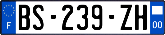 BS-239-ZH