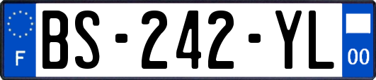 BS-242-YL