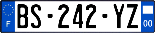 BS-242-YZ