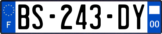 BS-243-DY