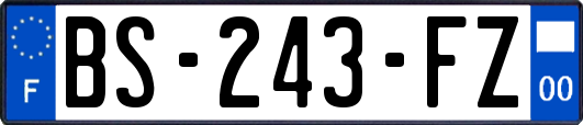 BS-243-FZ