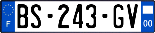 BS-243-GV