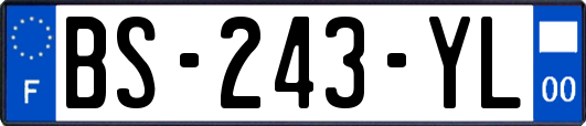 BS-243-YL