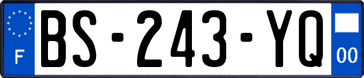 BS-243-YQ