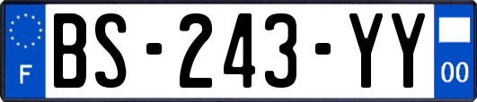 BS-243-YY