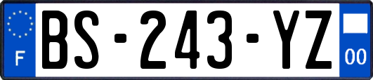 BS-243-YZ