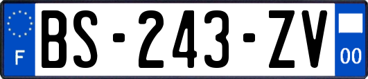BS-243-ZV